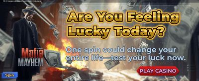 Premium Casino Gaming Experience