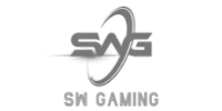 Papara partner logo